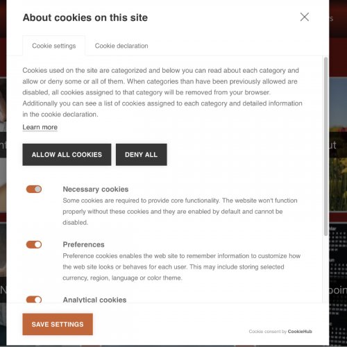 screen grab of cookie options