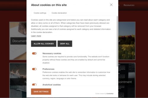 screen grab of cookie options
